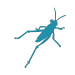 Grasshopper-logo-icon-150