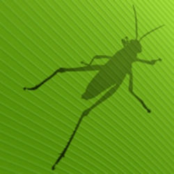 Le logo de Grasshopper, qui représente une silhouette de sauterelle foncée sur une texture de feuilles vertes.