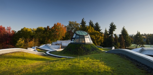 The glass oculus emerges from the roof as the pistil of an orchid.